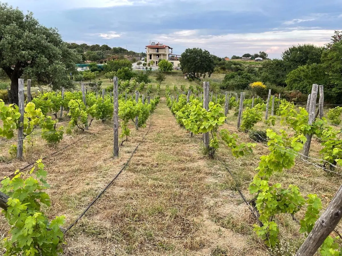 Astri Villa Ierissos